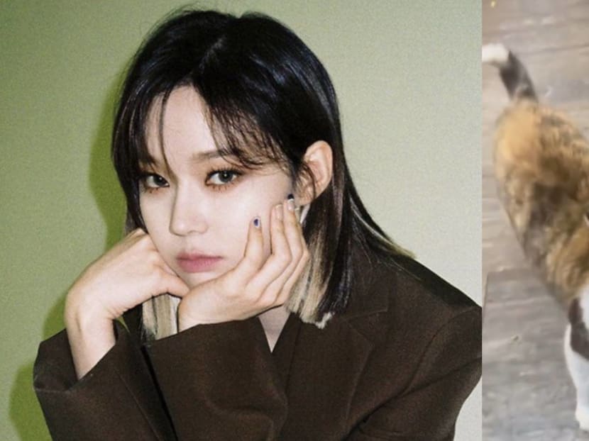 Netizens Accuse Korean Girl Group Member Of Animal Abuse 'Cos Of This Five-Second Video Netizens Accuse Korean Girl Group Member Of Animal Abuse 'Cos Of This Five-Second Video