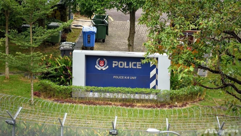 Para-vet cluster: K-9 unit remains operational; only 1 COVID-19 case out of 95 officers tested, says SPF Para-vet cluster: K-9 unit remains operational; only 1 COVID-19 case out of 95 officers tested, says SPF