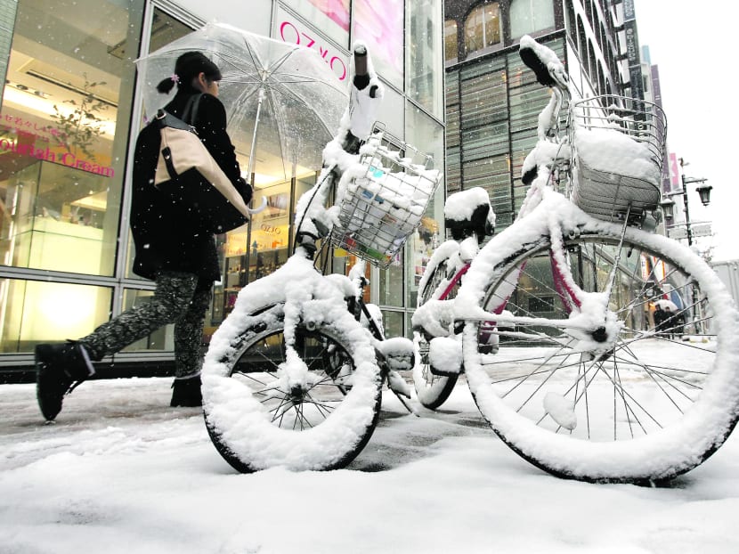 Heaviest Snow in 7 Years Strikes Tokyo