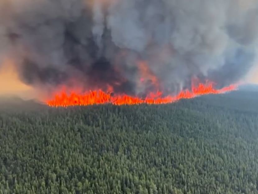 Smoke rises from a wildfire in Tumbler Ridge, British Columbia, Canada, in this screen grab taken from a video, June 8, 2023. BC Wildlife Service/Handout via REUTERS    