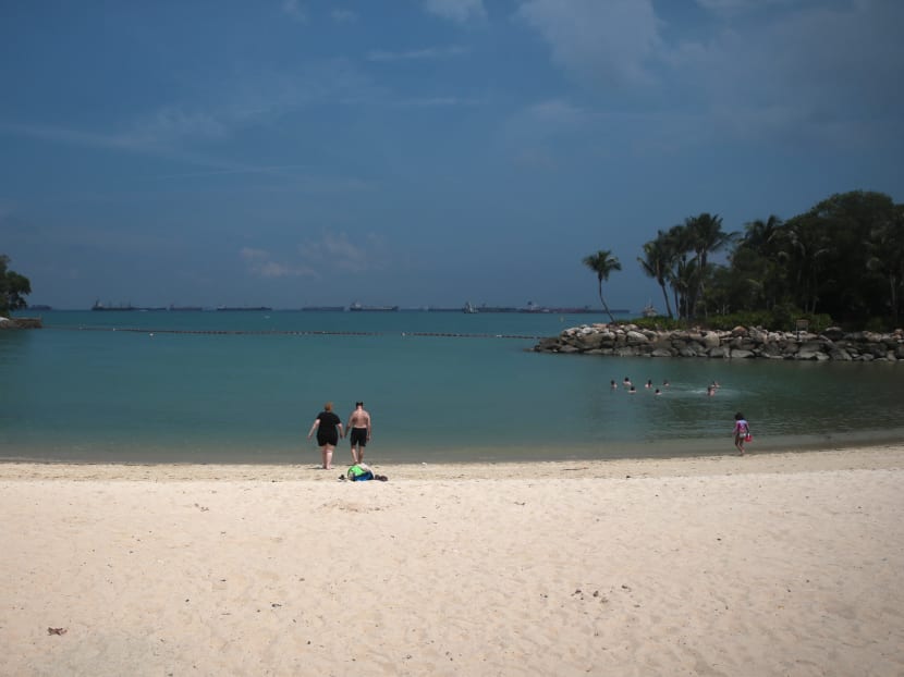 Install nets to protect beach-goers and swimmers at Sentosa against box jellyfish Install nets to protect beach-goers and swimmers at Sentosa against box jellyfish