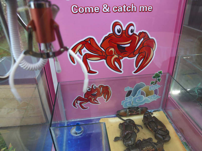 Claw machine with live crabs draws ire, but restaurant says it was