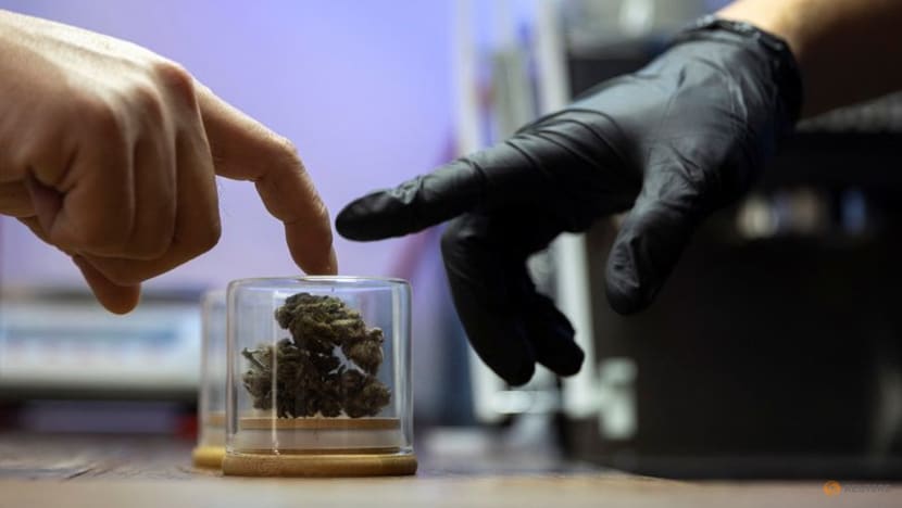 Thailand legalises growing, consumption of marijuana Thailand legalises growing, consumption of marijuana