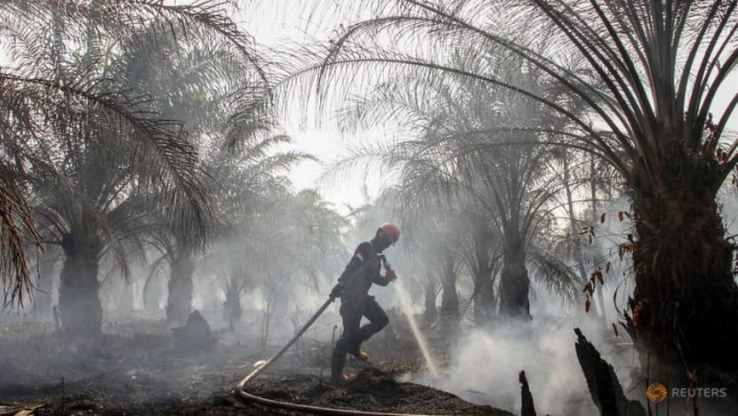 Illegal logger turns firefighter to defend Indonesia's peatlands Illegal logger turns firefighter to defend Indonesia's peatlands