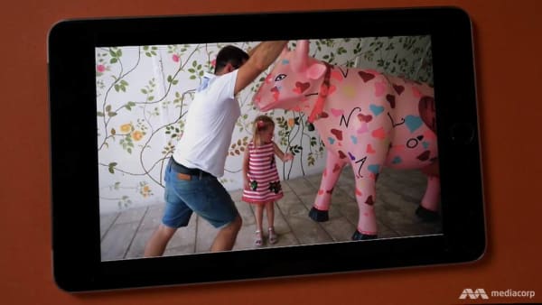 He'd physically hit me': What lies behind those child and animal viral videos - CNA He'd physically hit me': What lies behind those child and animal viral videos - CNA