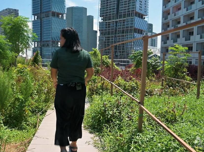 From Singapore to Hong Kong, how urban farming can help tackle food waste — but is it enough?
