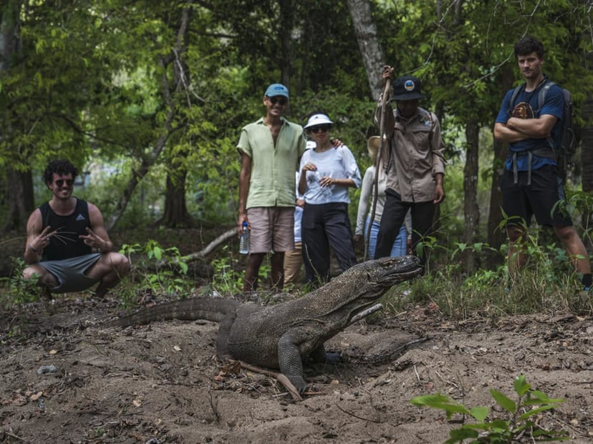 Tourists photograph a komodo dragon in Komodo National Park, Komodo Island, Indonesia, on Nov 4, 2022. The Indonesian government is hoping to raise fees to US$1,000 in the Komodo National Park, but many fear the price hike will send tourists fleeing.
Tourists photograph a komodo dragon in Komodo National Park, Komodo Island, Indonesia, on Nov 4, 2022. The Indonesian government is hoping to raise fees to US$1,000 in the Komodo National Park, but many fear the price hike will send tourists fleeing.