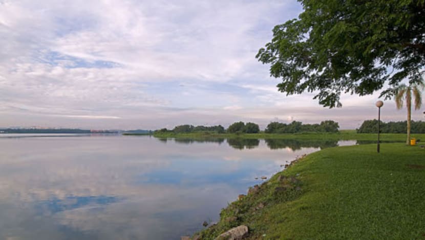 kranji reservoir 2462008 0