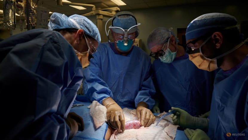 US surgeons successfully test pig kidney transplant in human patient