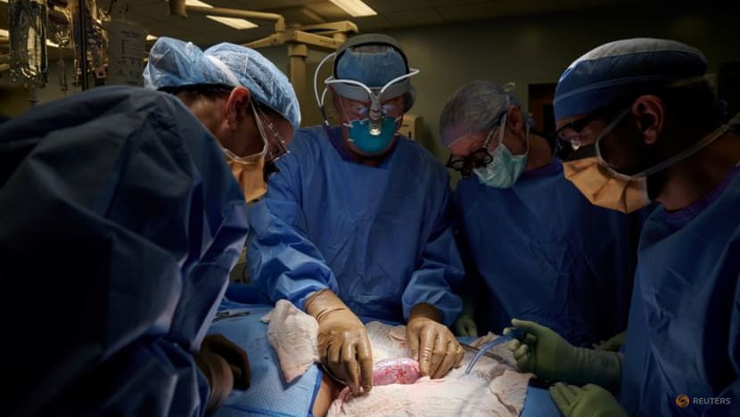 US surgeons successfully test pig kidney transplant in human patient US surgeons successfully test pig kidney transplant in human patient