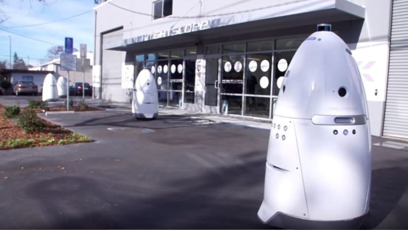 Pusat perlindungan haiwan San Francisco 'gajikan' robot halau gelandangan