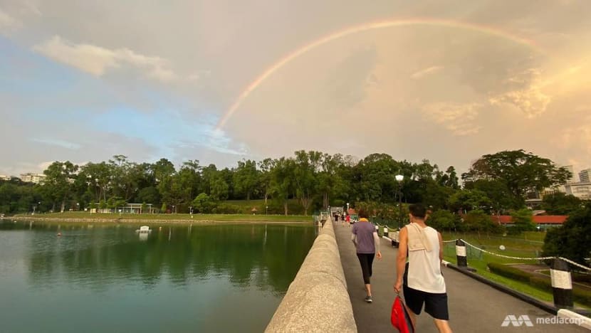 Going wild about nature: Long walks around Singapore an alternative to overseas travel Going wild about nature: Long walks around Singapore an alternative to overseas travel
