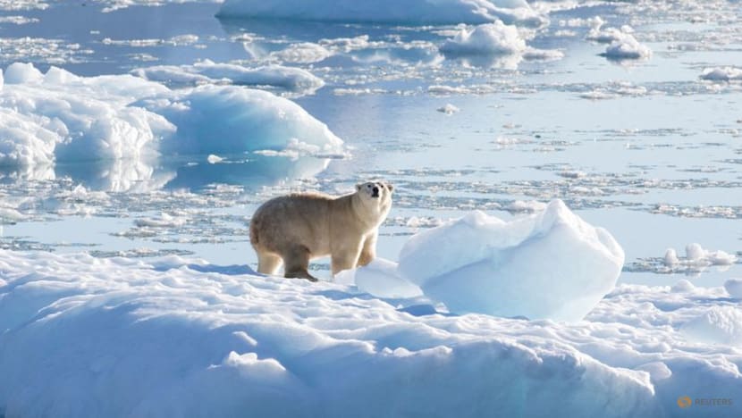 'More likely than not' world will soon see 1.5°C of warming: WMO 'More likely than not' world will soon see 1.5°C of warming: WMO