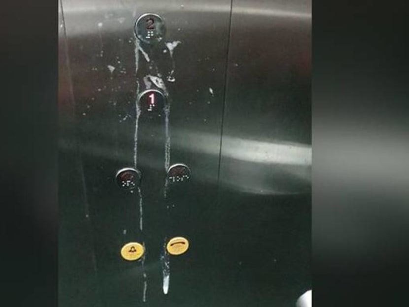 “Preliminary investigations revealed that the teenagers had spat at the said lift panel on Feb 19 at about 6.10pm,” the police said in a statement on Saturday (Feb 22). “Preliminary investigations revealed that the teenagers had spat at the said lift panel on Feb 19 at about 6.10pm,” the police said in a statement on Saturday (Feb 22).