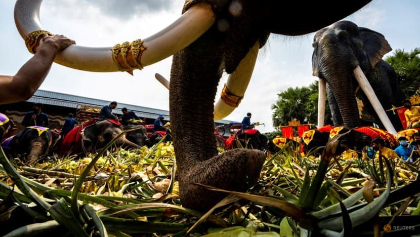 Thailand lays out buffet for elephants in national celebration Thailand lays out buffet for elephants in national celebration
