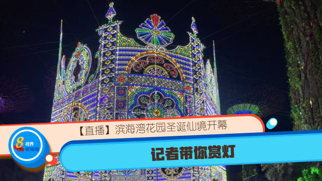 【直播】滨海湾花园圣诞仙境开幕 记者带你赏灯