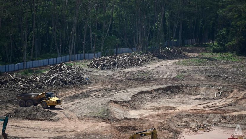 Kranji woodland clearance: 2 JTC officers among 3 people charged in court