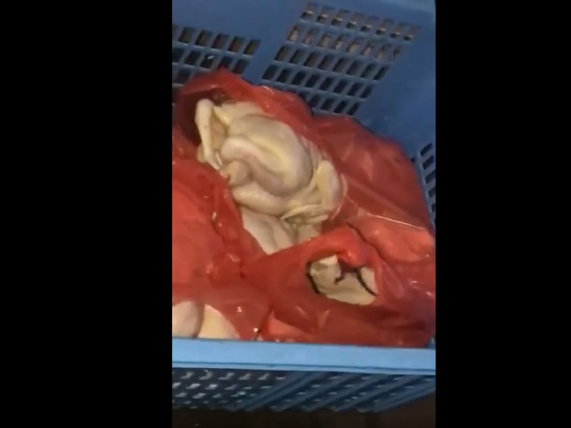 A screenshot of a video showing a live rat in a basket full of raw poultry. The video went viral on April 3, 2019.