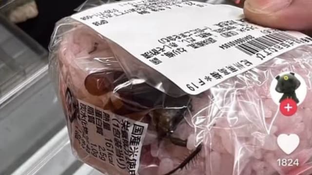 饭团惊见大蟑螂 日本便利店召回近2000个饭团