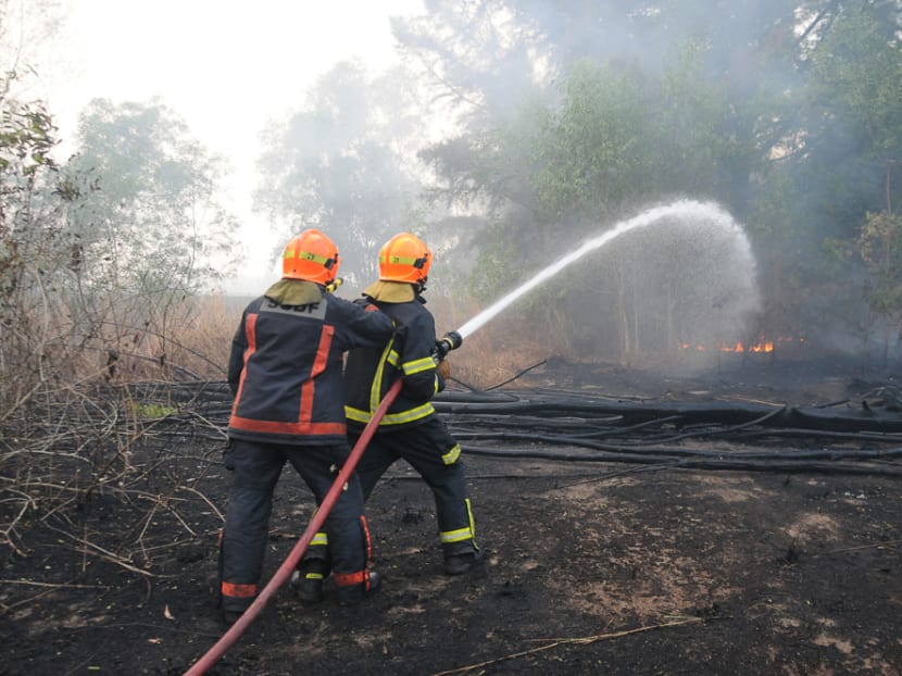 Four vegetation fires reported around Singapore