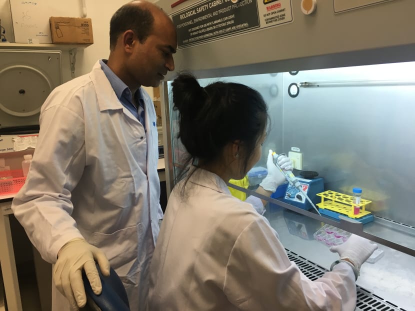 Principal investigator, Dr Amit Singhal, and Dr Catherine Cheng, research fellow, both from A*Star's Singapore Immunology Network, are part of the research team looking into new ways to combat drug-resistant tuberculosis. Photo: Louisa Tang/TODAY