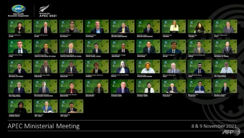 APEC ministers say free trade key to COVID-19 pandemic recovery APEC ministers say free trade key to COVID-19 pandemic recovery
