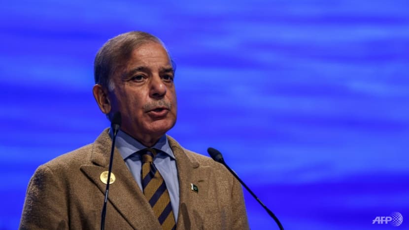 World 'burning up faster' than it can recover: Pakistan PM
