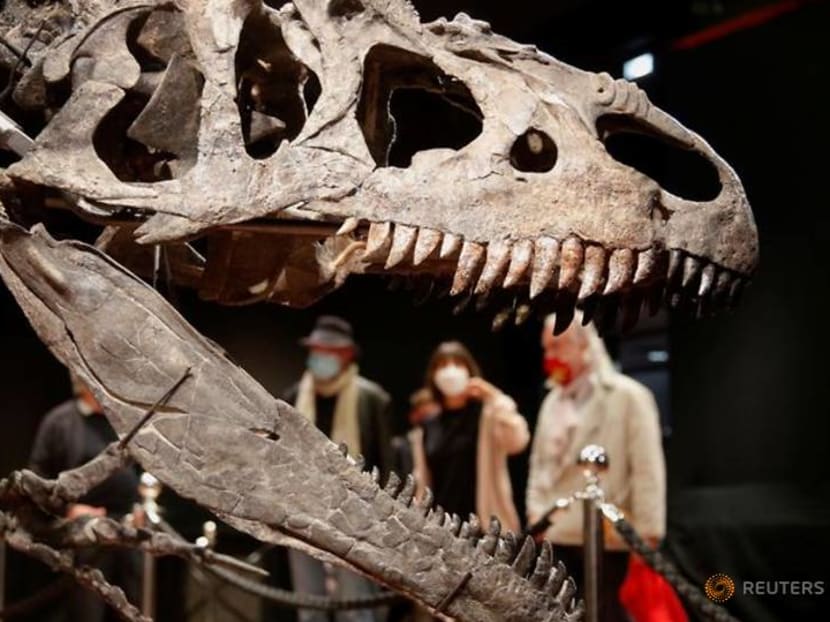 Remains of the day: dinosaur skeleton fetches three million euros Remains of the day: dinosaur skeleton fetches three million euros