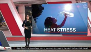Heat stress advisory to be introduced as temperatures climb | Video