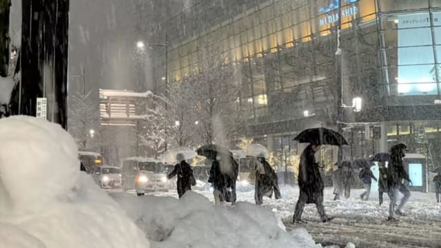 日本发布大雪警报 东京和关东甲信交通料中断