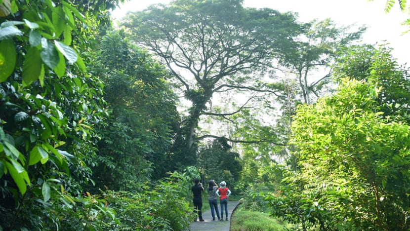 Singapore unveils Green Plan 2030, outlines green targets for next 10 years Singapore unveils Green Plan 2030, outlines green targets for next 10 years