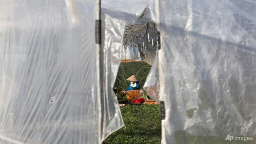 Migrant workers face dire conditions at South Korean farms Migrant workers face dire conditions at South Korean farms