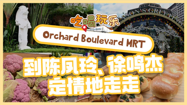 【吃喝玩乐TEL】Orchard Boulevard MRT　到陈凤玲、徐鸣杰定情地走走