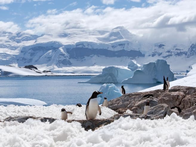 Explore exotic destinations such as Antarctica, Colombia and South Africa at this luxury travel fair