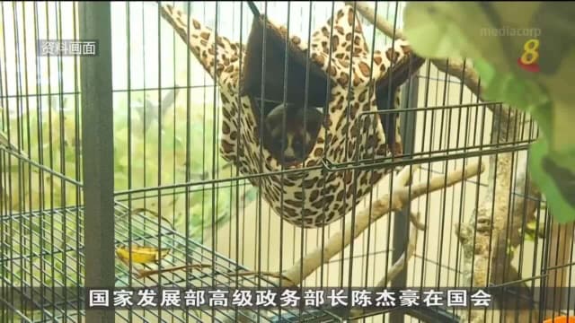 国会通过法案 将加重贩卖濒危物种罪行刑罚