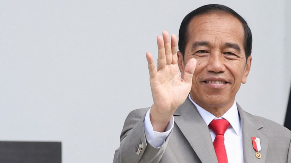 Indonesian elections 2024: how the “Jokowi effect” influenced the electoral landscape