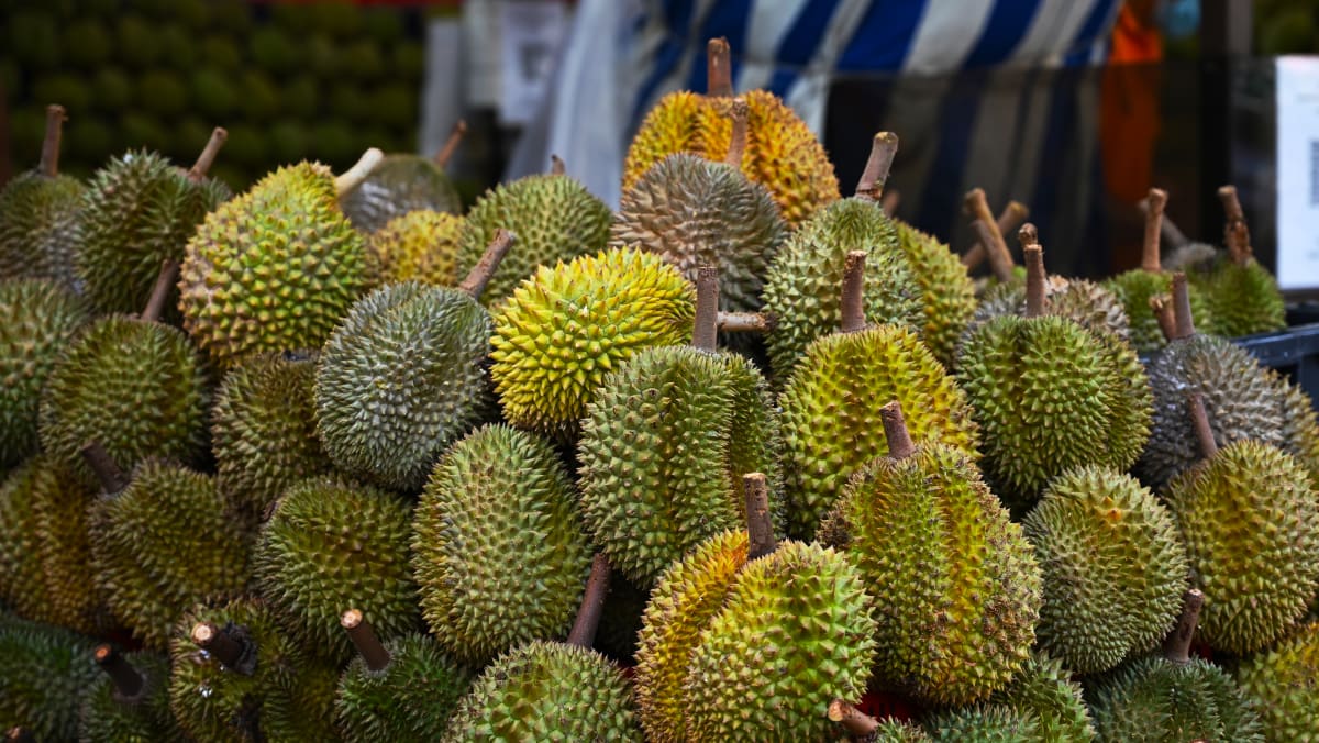 Penjual durian bersiap menghadapi peningkatan permintaan menjelang musim puncak