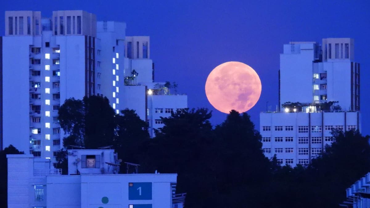 Worm Moon to light up Singapore sky - Vimarsana News
