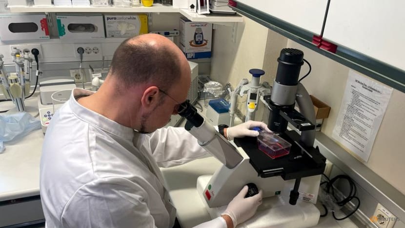Germany orders 40,000 vaccine doses as precaution against monkeypox spread Germany orders 40,000 vaccine doses as precaution against monkeypox spread