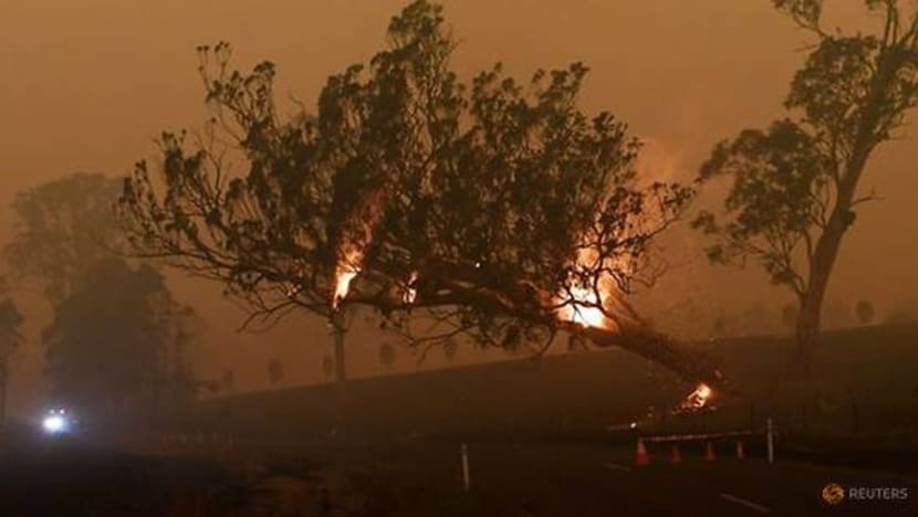 Hujan bantu redakan kebakaran hutan Australia