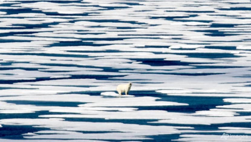Irreversible warming tipping point possibly triggered: Arctic mission chief Irreversible warming tipping point possibly triggered: Arctic mission chief