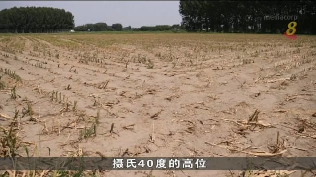 意大利70年来最严重干旱 稻米收成或减四成