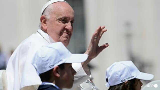 Pope Francis issues rare apology over gay slur
