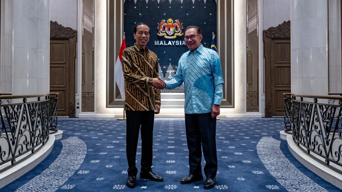 印度尼西亚赞赏马来西亚对保护移民工人权利的承诺：Jokowi