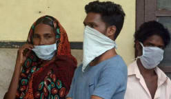 jelasBERITA: Apa virus Nipah yang merebak di Kerala, India?