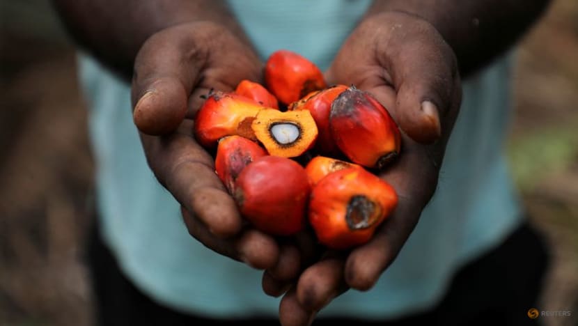 Indonesia's biodiesel policy, dry weather to keep palm oil prices elevated 