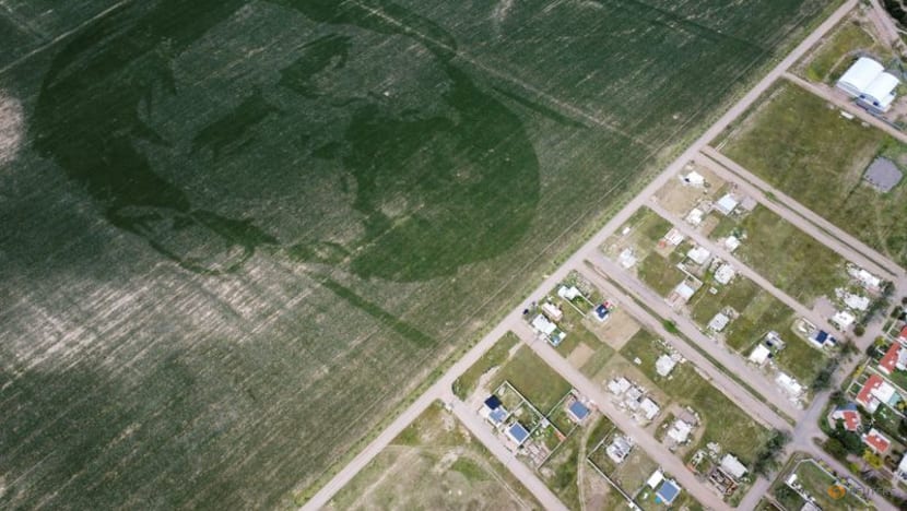 Argentine corn field planted with face of World Cup winner Messi Argentine corn field planted with face of World Cup winner Messi