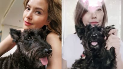 Zoe Tay’s TikTok Videos With Her Dog Is All You Need To Get Through A Ruff Week
