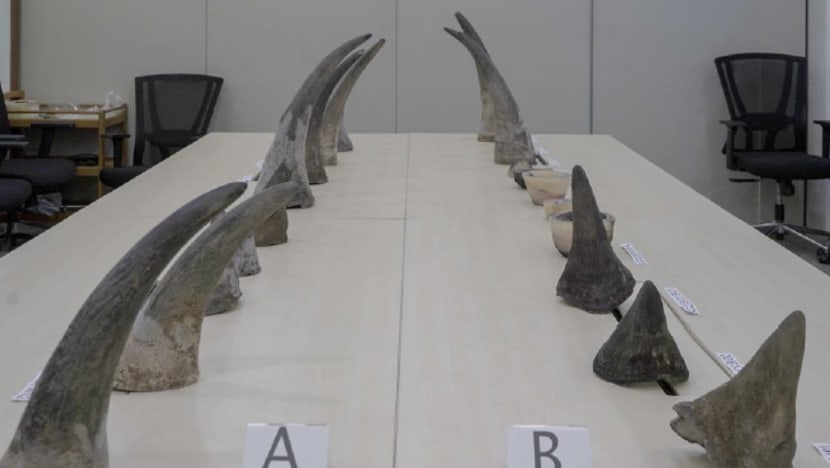 Rhinoceros horns worth S$1.2 million seized at Changi Airport, largest such haul in Singapore Rhinoceros horns worth S$1.2 million seized at Changi Airport, largest such haul in Singapore