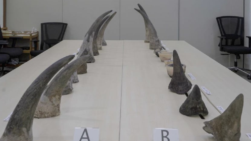 Commentary: Singapore's S$1.2m rhino horn seizure another reminder of need  to combat wildlife trafficking - CNA